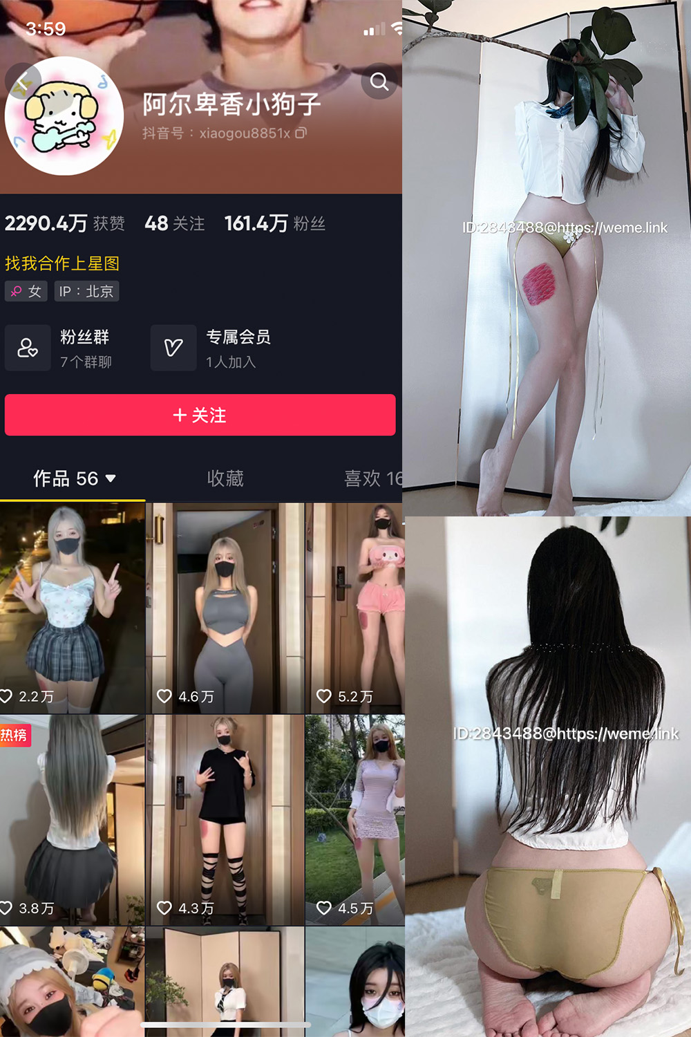 抖音 阿尔卑香小狗子 微密圈  NO.047期 【39P】最新至：2024.6.10-微秘圈