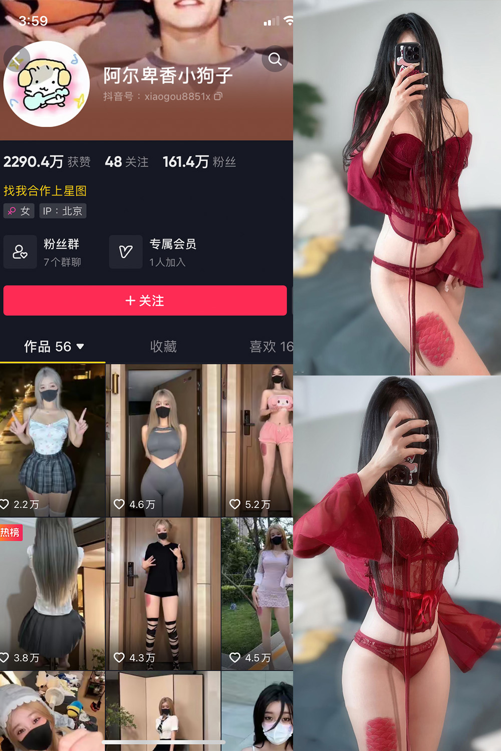 抖音 阿尔卑香小狗子 微密圈  NO.056期 【10P2V】最新至：2024.8.25-微秘圈